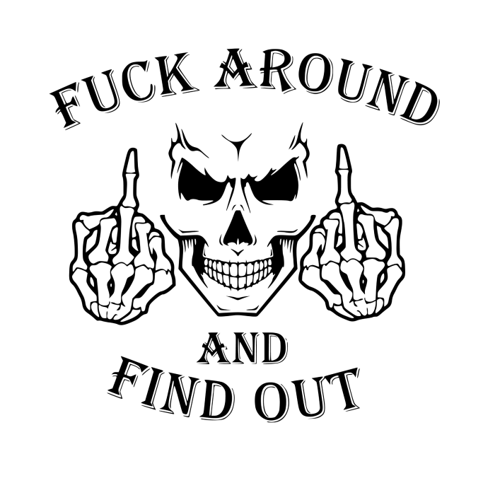FS3