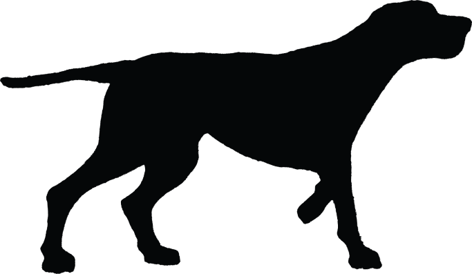 HF2