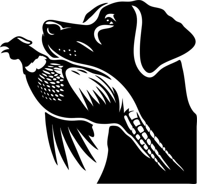 HF4